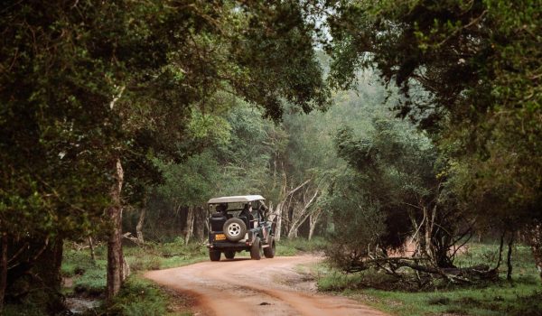 Wilpattu-National-Park-hele-of-halve-dag-safari