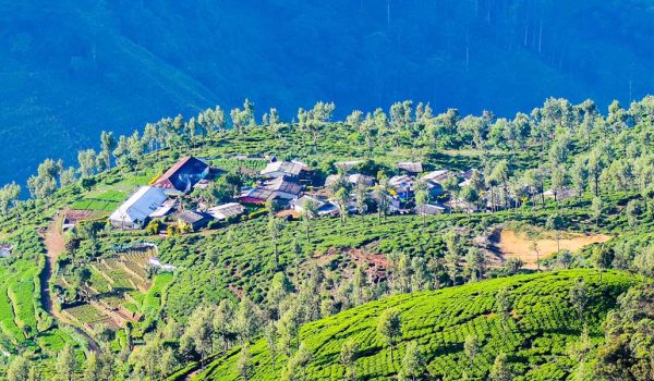 bandarawela_p_bg