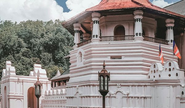 kandy_p_bg
