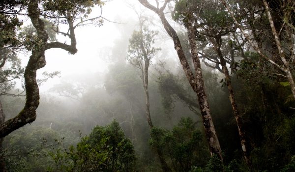 Horton Plains National Park, Sri Lanka